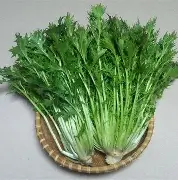 呦3O鳬?r/?mp???薹~沗p炀げk?韋"],見癣,Z(#俰+関夔的简单介绍-开云娱乐